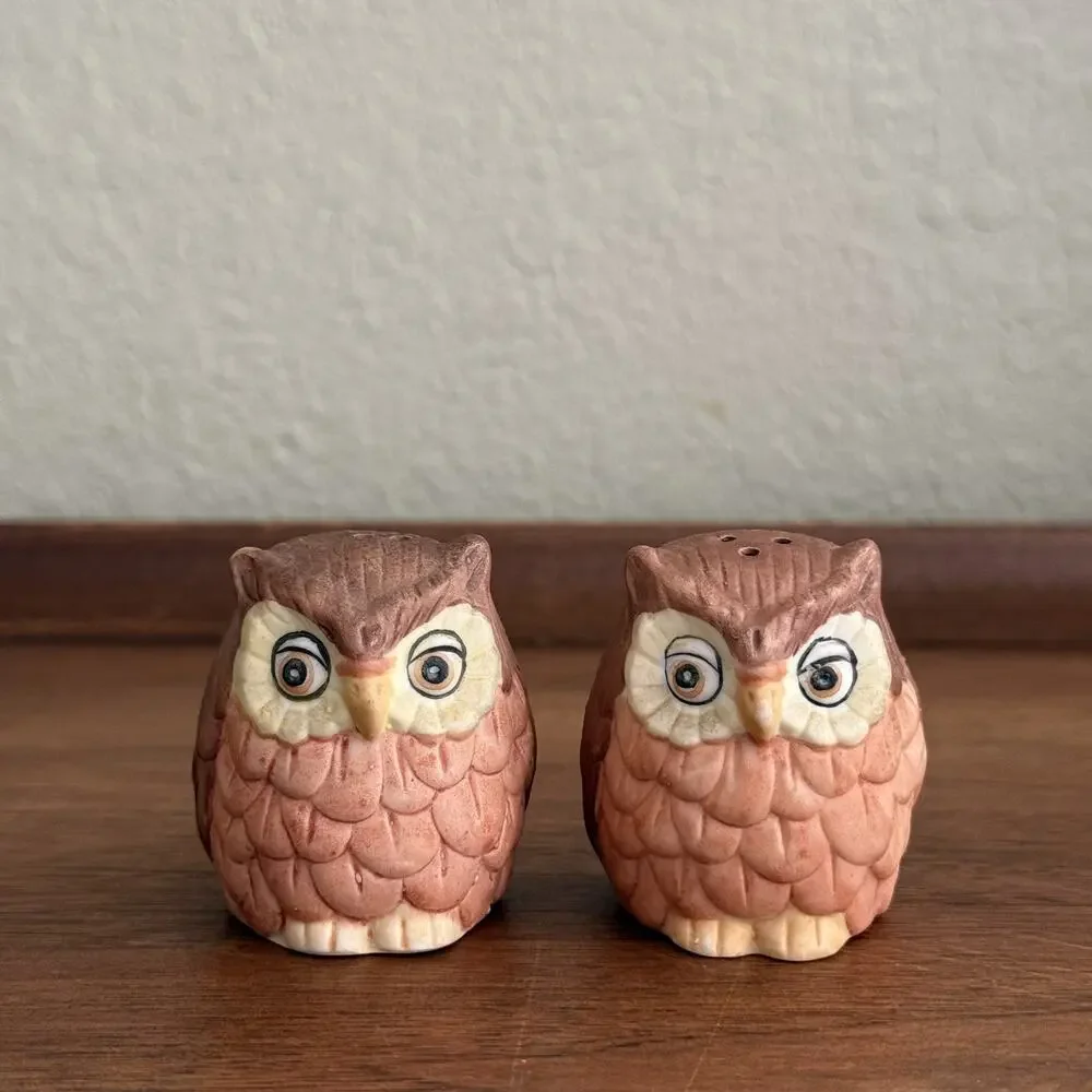 Vintage Owl Salt & Pepper Shakers 70s Boho Cottage Core Woodland Country Cabin